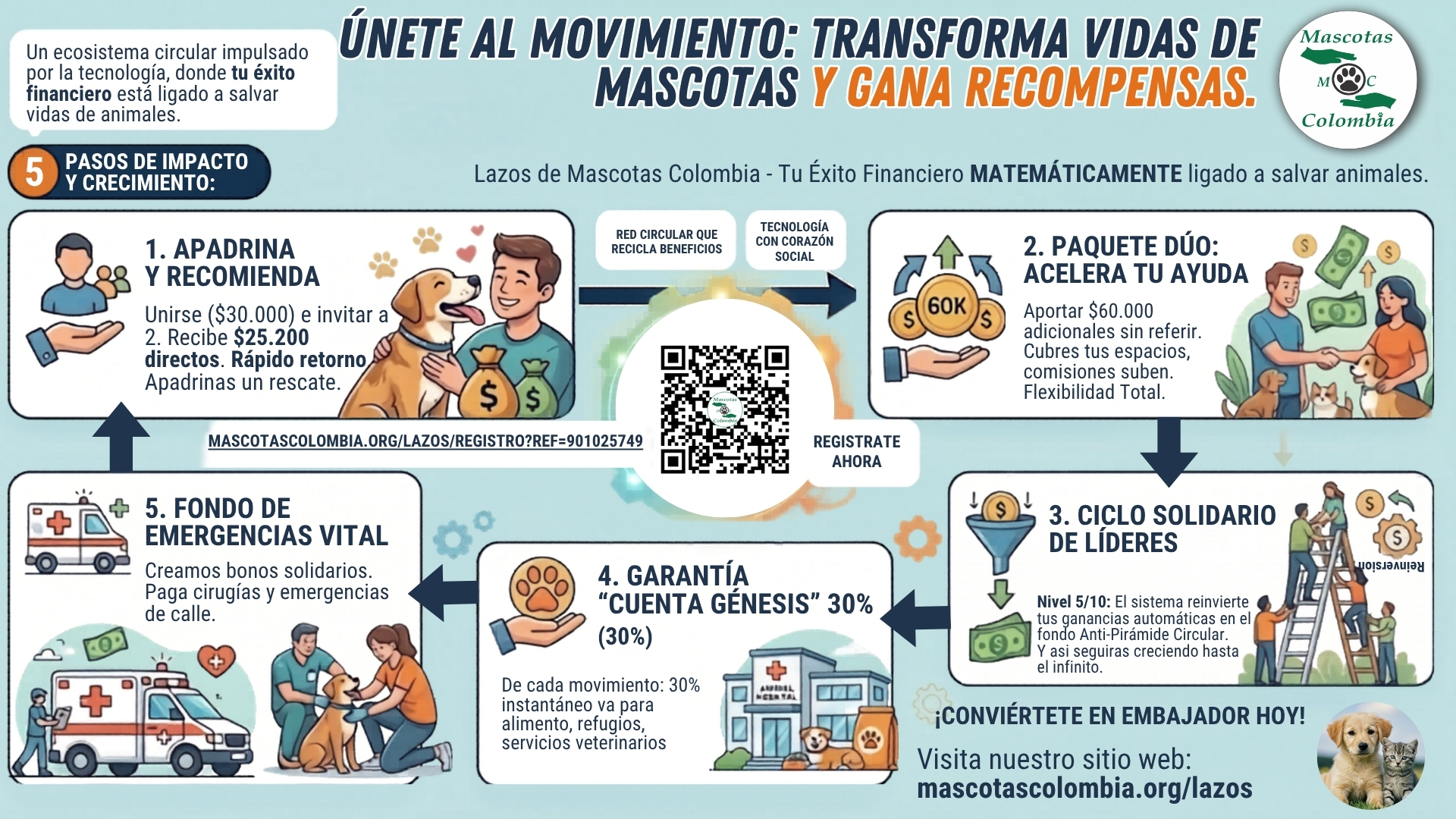 Pasos de impacto y crecimiento para apadrinar un rescate